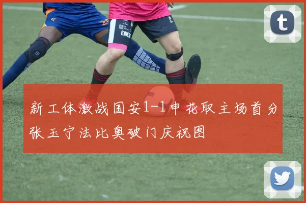 新工体激战国安1-1申花取主场首分张玉宁法比奥破门庆祝图